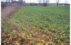 Property photo 39 - 80 Acres & Home - Property Offered in 4 Tracts from 2.3 to 30.0 Acres
